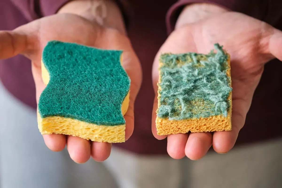 La importancia de la esponja de cocina: un detalle pequeño con gran efecto