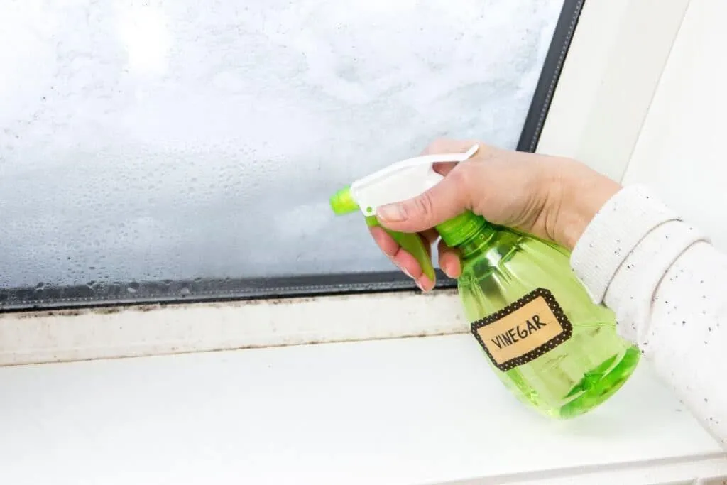El versátil poder del vinagre blanco: más allá de la cocina